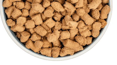 Bowl of dog food